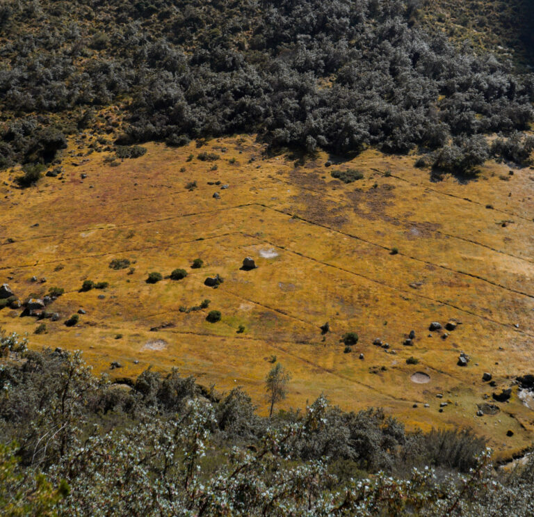 inca-trail-nazca