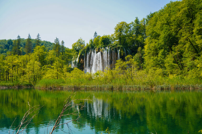 Veliki prštavac