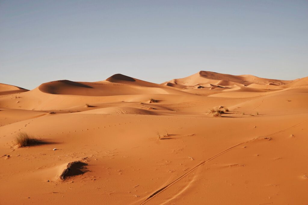 sahara desert