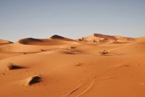 sahara desert