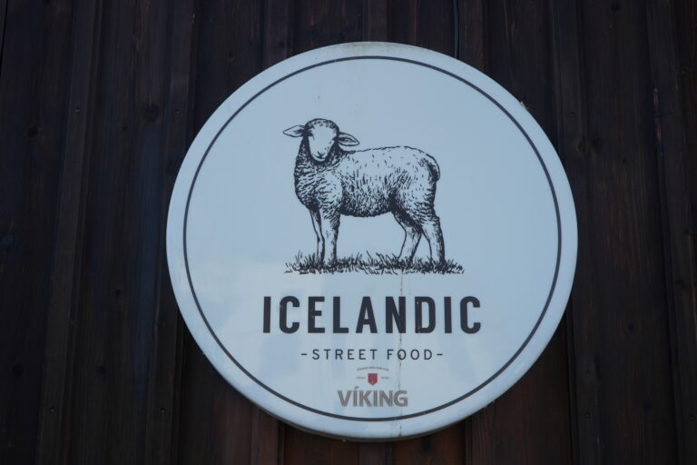icelandic street food