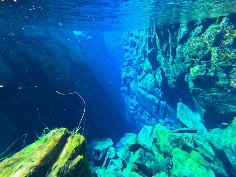 silfra fissure snorkelling