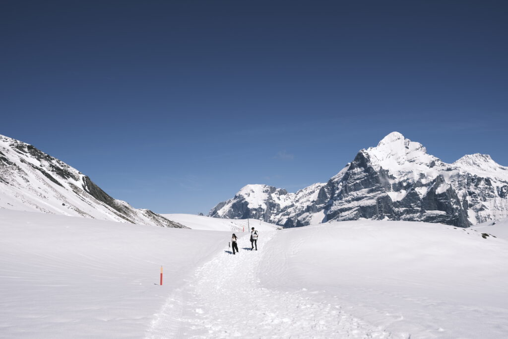 grindelwald