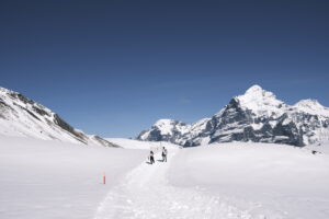 grindelwald