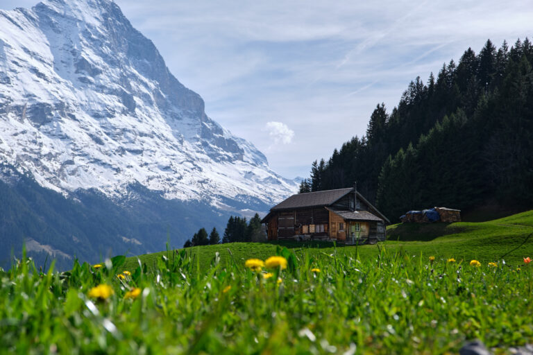 grindelwald
