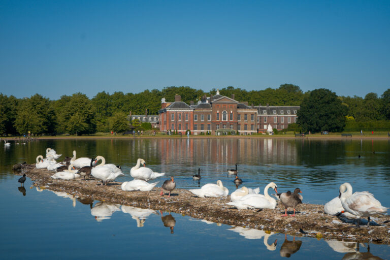 hyde park