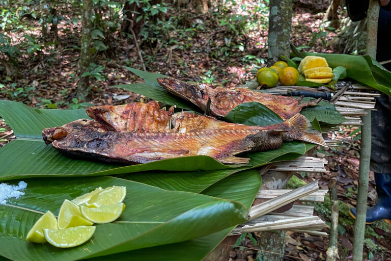 nice meal with Tambaqui in Amazon forest