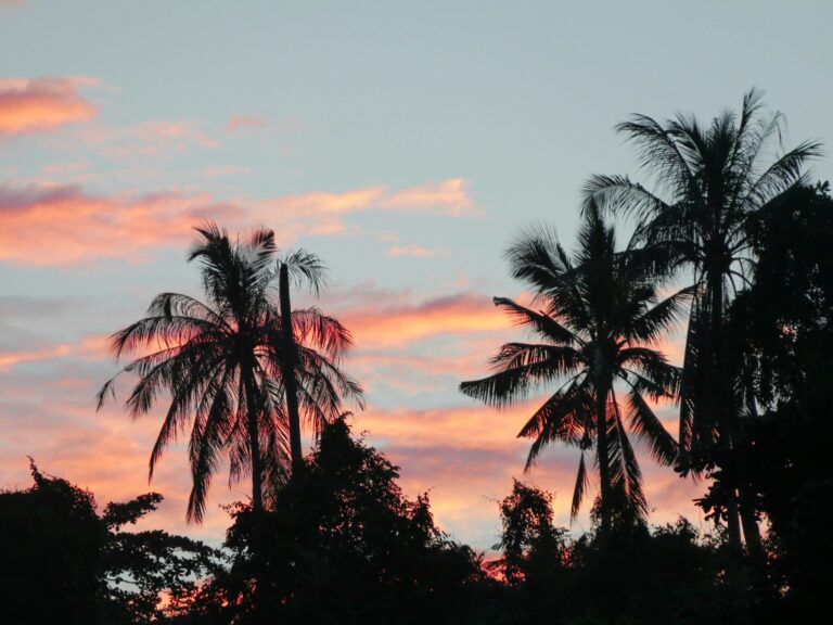 tawau