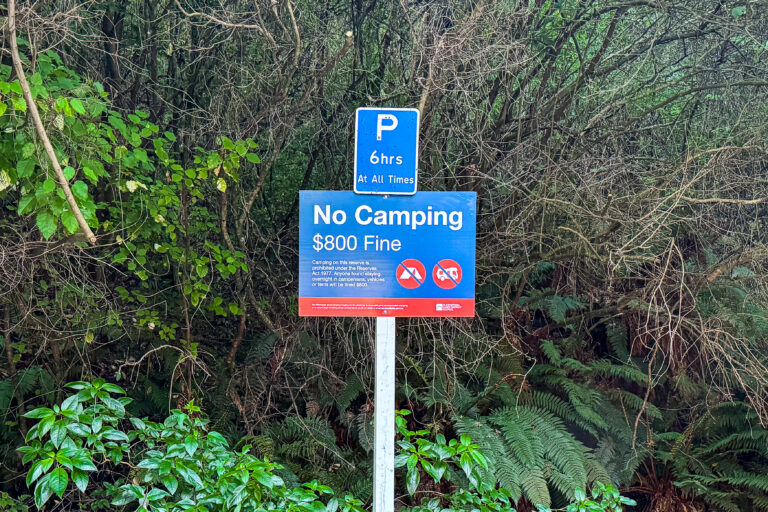 parking in New Zealand