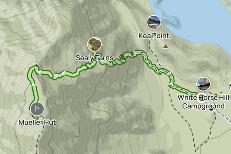 mueller hut track