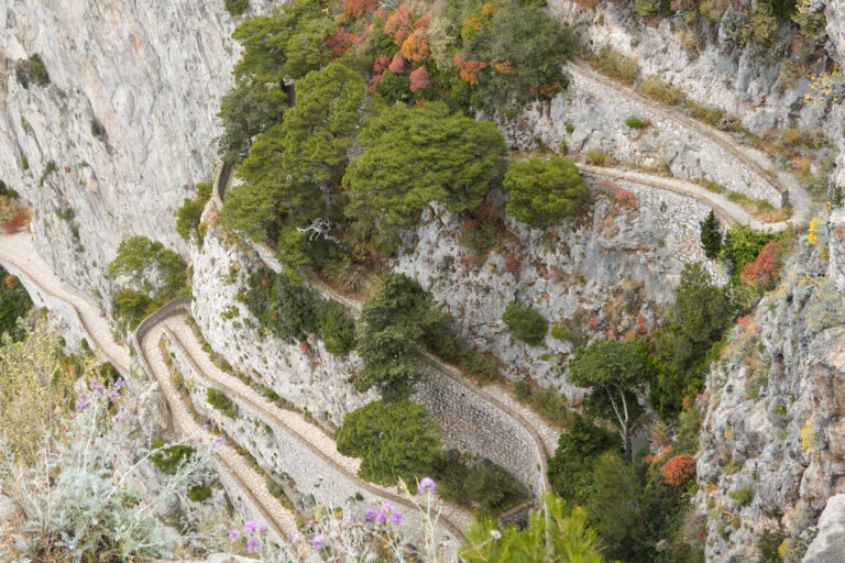 capri