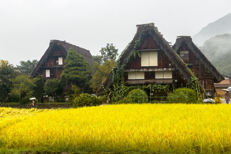 白川鄉