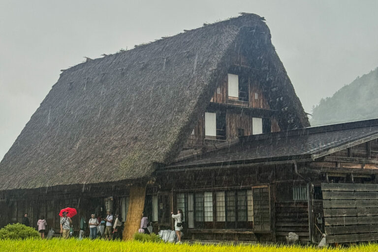 和田家