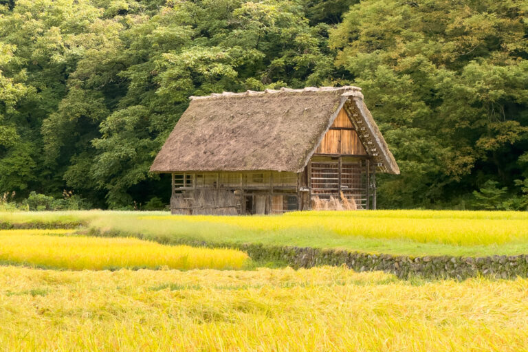 白川鄉