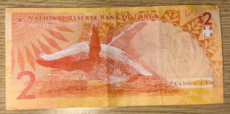 tongan money