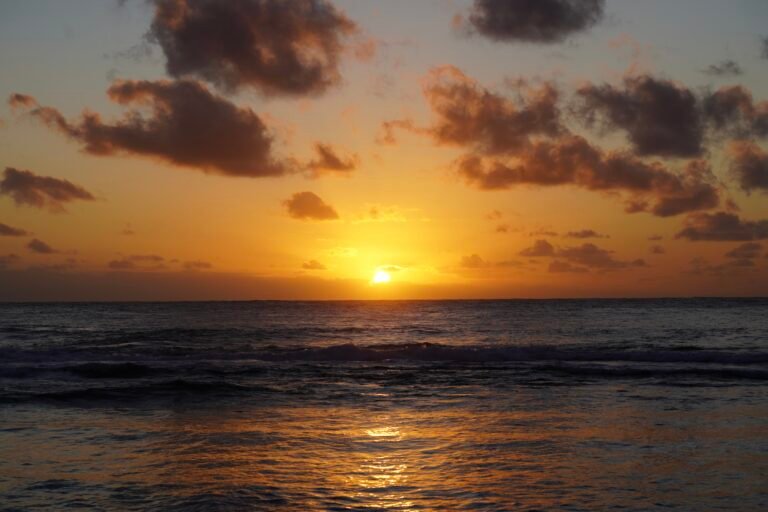 sunset by the sea