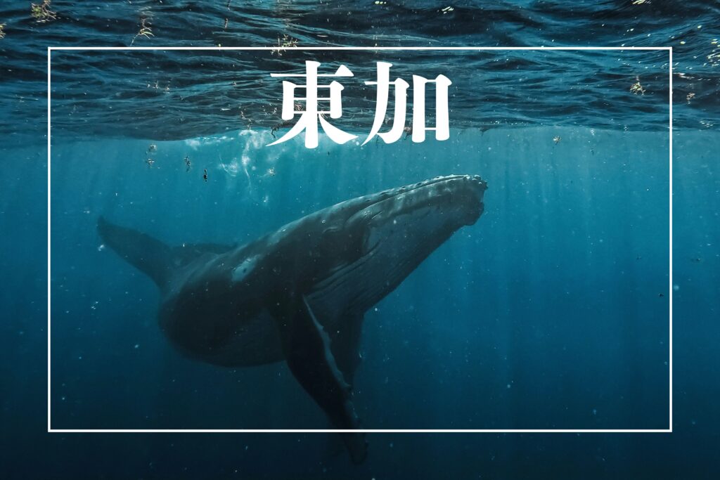 東加