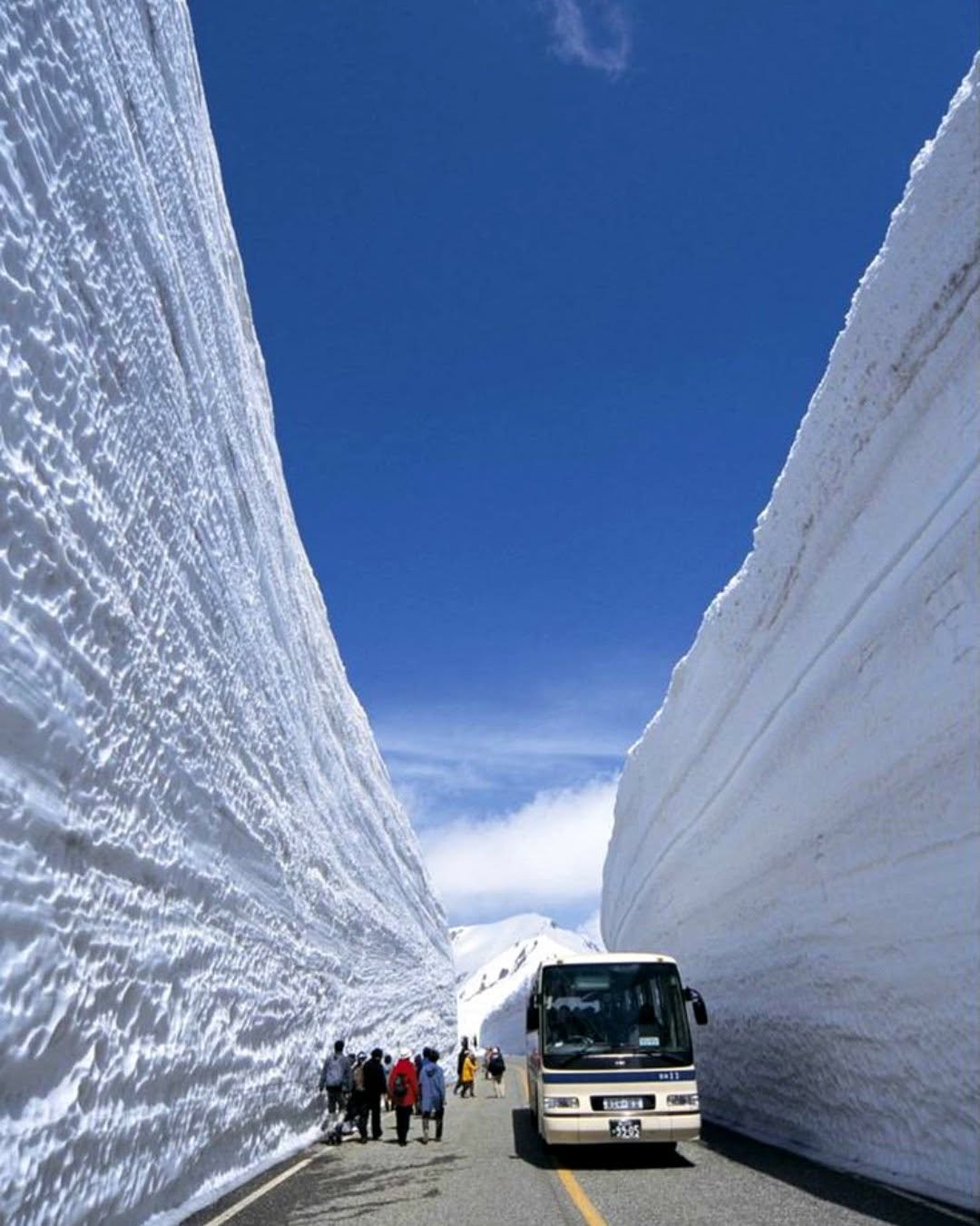 巴士駛過雪之大谷的雪牆之間